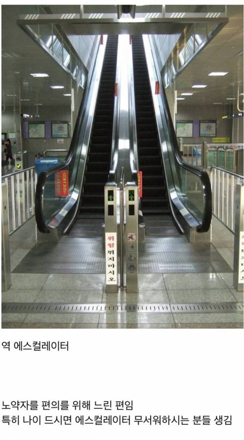 한국에서 유일하게 느린 것.jpg