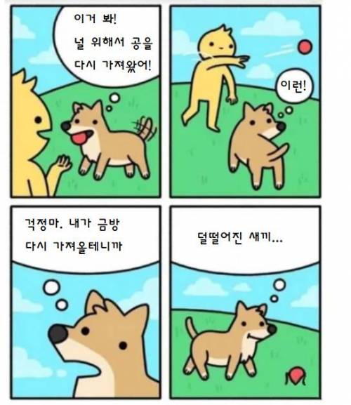 주인이 계속 던진 공 주워 올 때 개 속마음.jpg