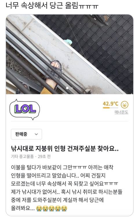 [스압] 죠르디 구출 대작전.jpg