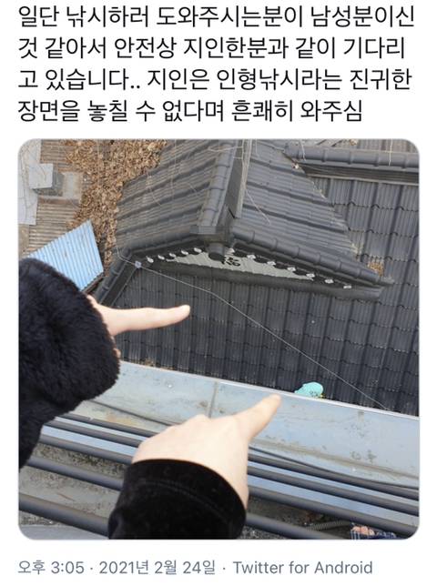 [스압] 죠르디 구출 대작전.jpg