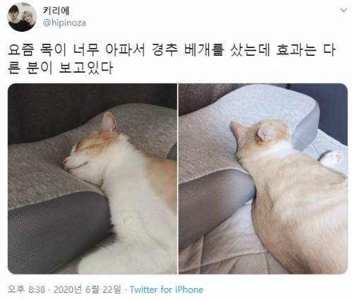 요즘 목이 너무 아파서 경추 베게를 샀는데 효과는 다른 분이 보고있다...