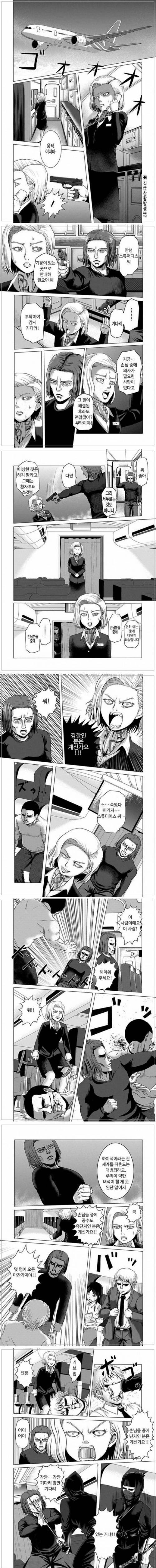 [스압] 비행기 하이재킹..jpg