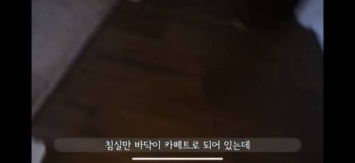 미국 카페트 바닥 청소하기.jpg