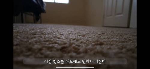 미국 카페트 바닥 청소하기.jpg