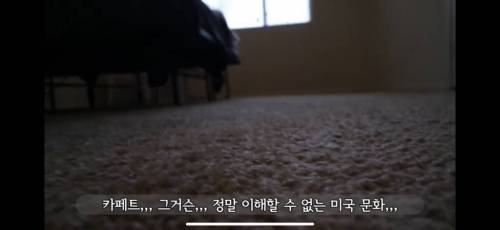 미국 카페트 바닥 청소하기.jpg