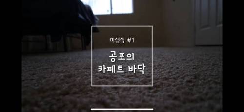 미국 카페트 바닥 청소하기.jpg