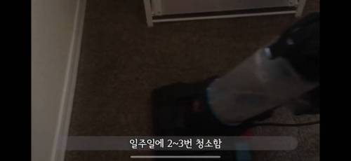 미국 카페트 바닥 청소하기.jpg
