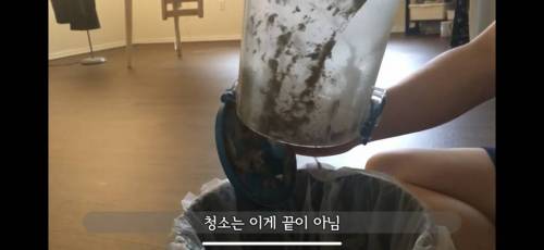 미국 카페트 바닥 청소하기.jpg