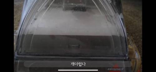 미국 카페트 바닥 청소하기.jpg