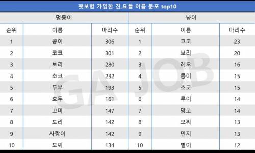 펫보험 가입 기준 고양이 강아지 이름 순위