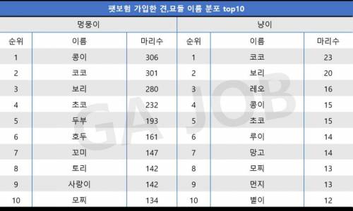 펫보험 가입 기준 고양이 강아지 이름 순위