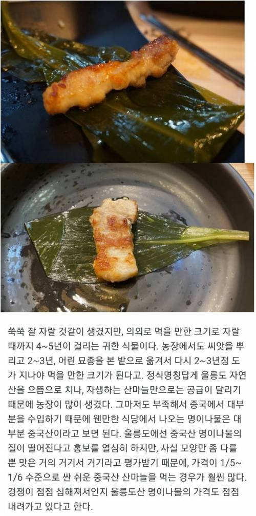 명이나물을 조금만 주는 이유.jpg