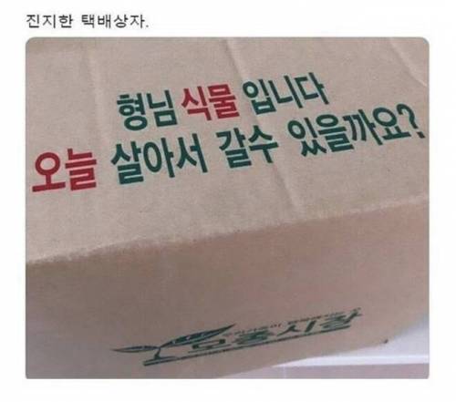 진지한 택배상자.jpg