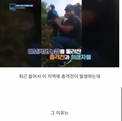 충격과 공포의 멕시코 농민들 근황.jpg