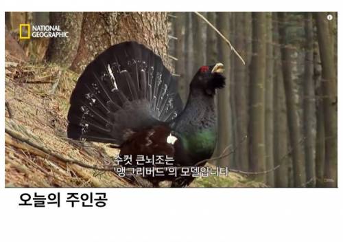 [스압] 진짜 분노조절장애.jpg