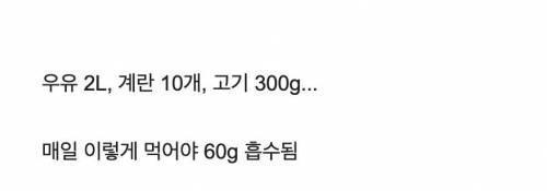 성인 단백질 하루 권장 섭취량 60g 먹는방법