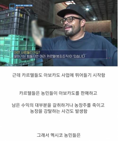 충격과 공포의 멕시코 농민들 근황.jpg