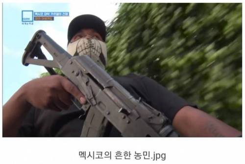 충격과 공포의 멕시코 농민들 근황.jpg