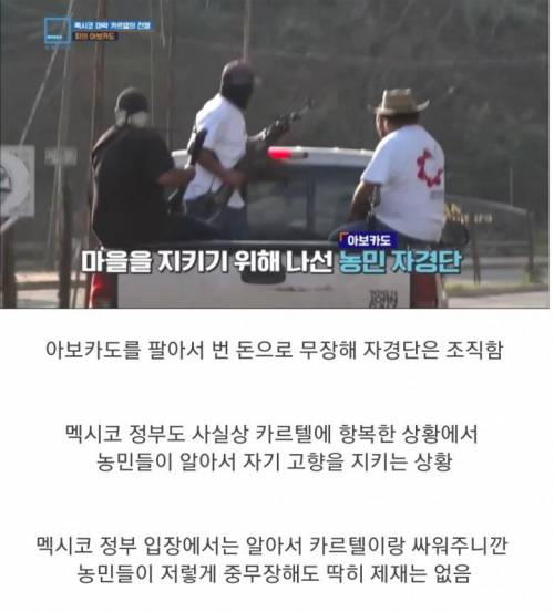 충격과 공포의 멕시코 농민들 근황.jpg