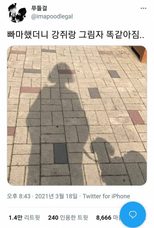 파마했더니.jpg