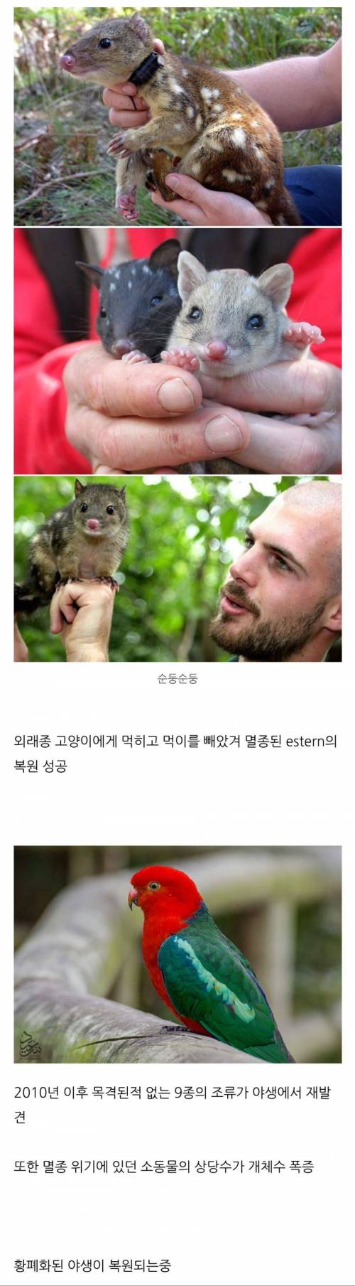 호주에서 고양이를 살처분해온 결과.jpg