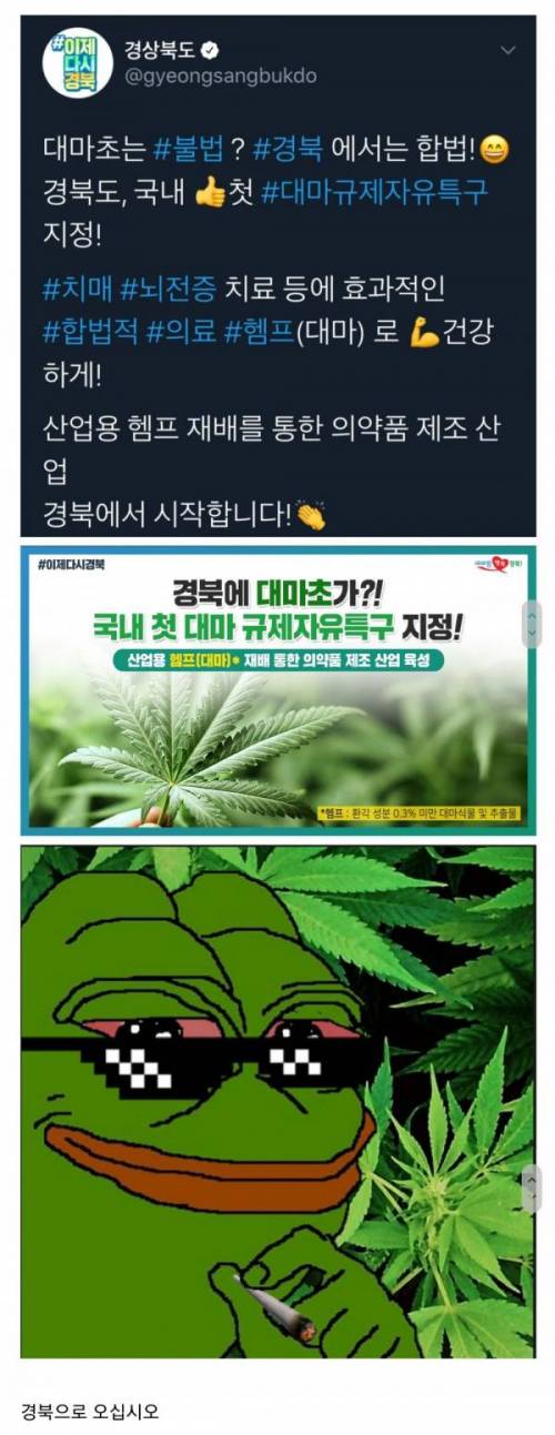 나라에서 허락한 유일한 마약......jpg