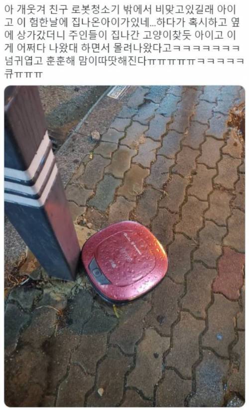 로봇청소기가 밖에서 비 맞고 있길래.jpg