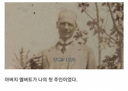 [스압] 서울 한복판에 있는 미스테리한 건물.jpg