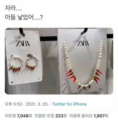자라 아들 낳았어?.jpg