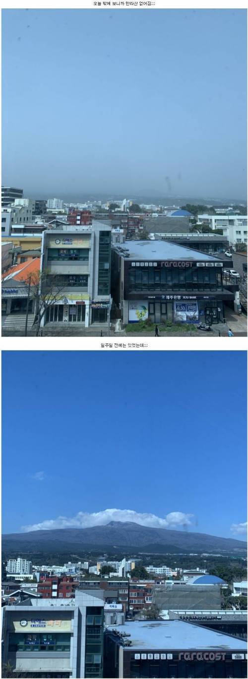 제주도 미세먼지 상황.jpg