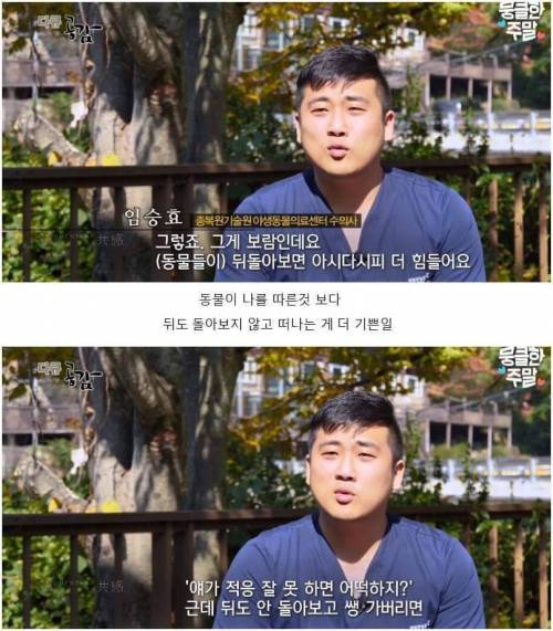 [스압] 어린 칡을 자연으로 돌려보내는 날.jpg