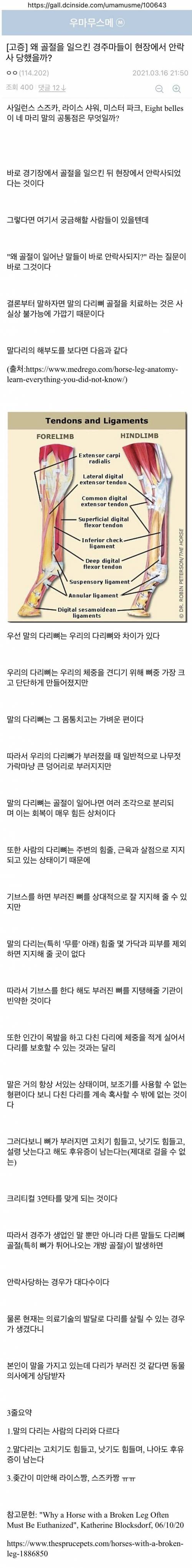 말들이 골절상을 당하면 바로 안락사 하는 이유.jpg