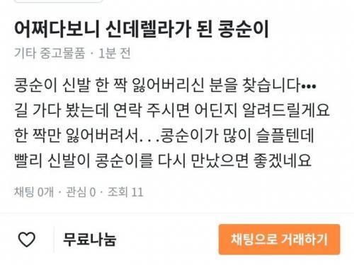 당근마켓 신데렐라.jpg