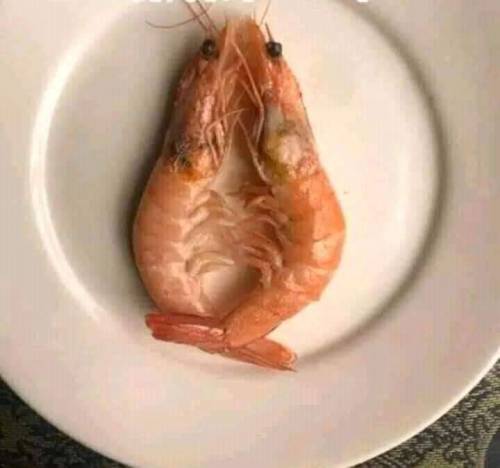 결혼 이후 잠자리 변화.jpg