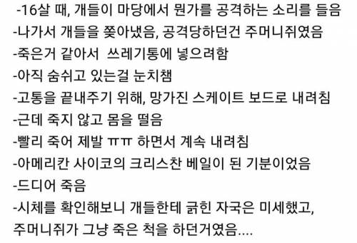 짤 하나로 알아보는 혼돈-선 성향.jpg