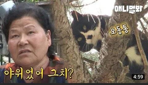 할머니가 손주를 보았을 때 느낌