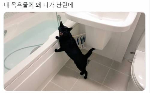 왜 니가 난린데.jpg