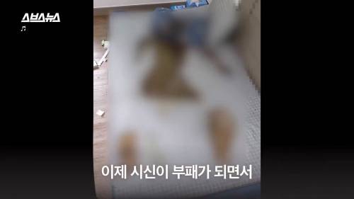 [스압] 일반 쓰레기로 버려진 한 청년의 마지막