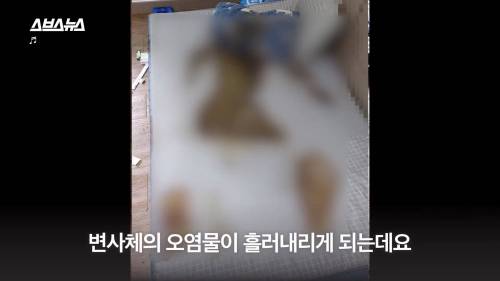 [스압] 일반 쓰레기로 버려진 한 청년의 마지막