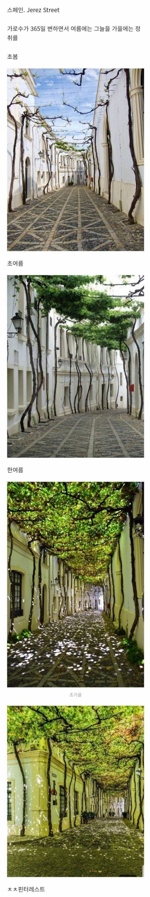 스페인의 조경 디자인.jpg