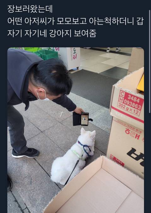 냅다 강아지 친구 만들어 주기.jpg