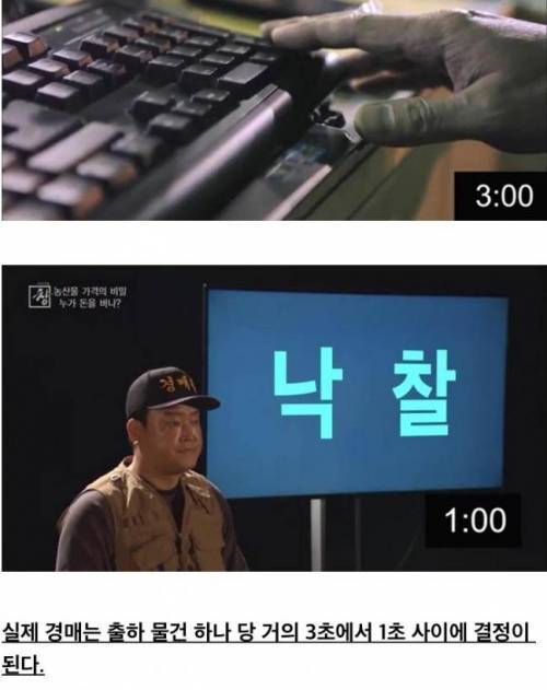 [스압] 농산물 가격의 비밀.jpg