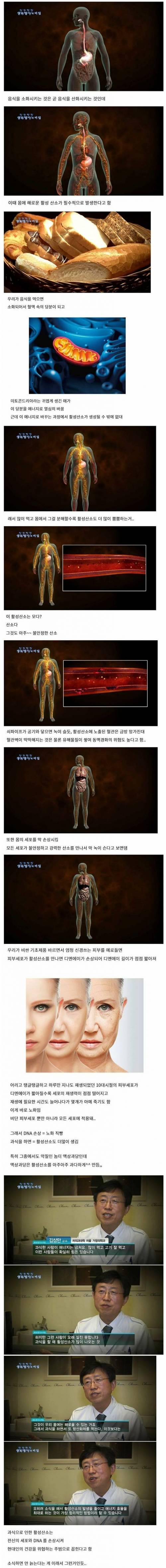 과식하면 오래 못사는 이유.jpg