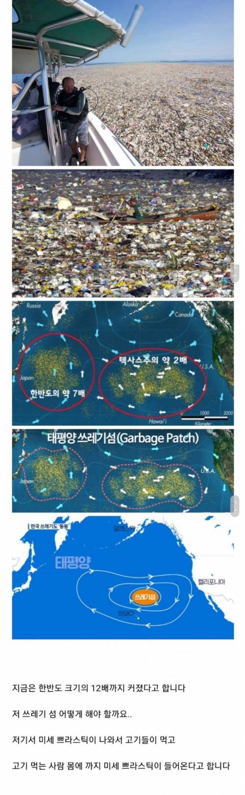 태평양에 새로 생긴 거대 섬.jpg