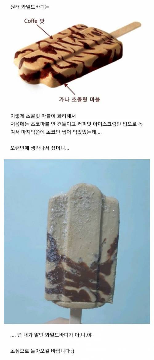 와일드바디 아이스크림 근황.jpg