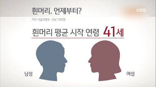 흰머리 나기 시작하는 평균 시기.jpg