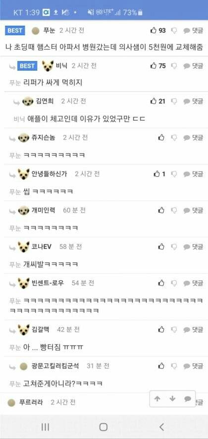 초등학생 햄스터 고쳐주고 오천원만 받은 의사선생님.jpg