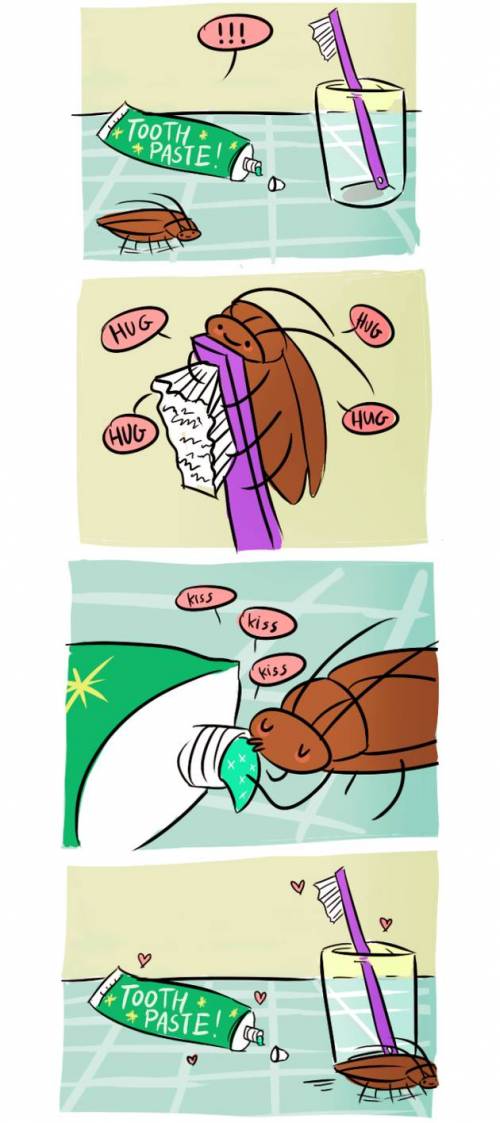 당신이 잠든 사이 바퀴벌레가 하는 일.jpg