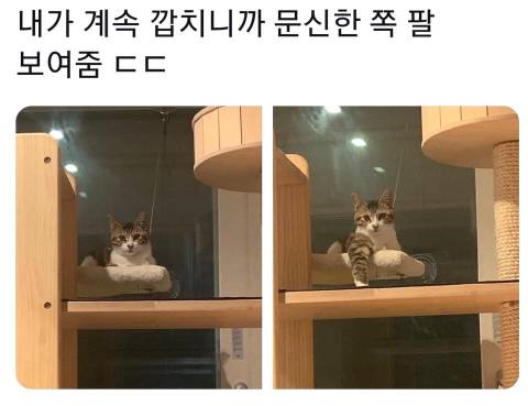 내가 계속 깝치니까 문신한 팔 보여줌 ㄷㄷ.jpg