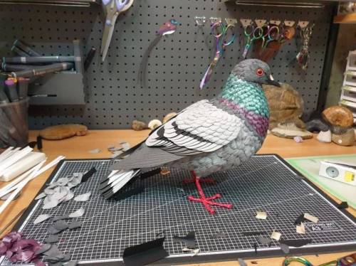 종이로 만든 비둘기.jpg